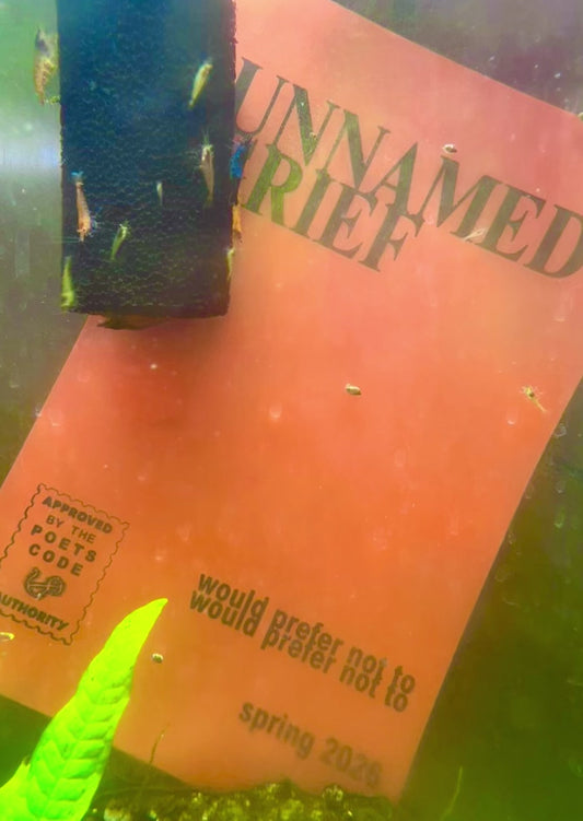 Unnamed Grief Spring 2026